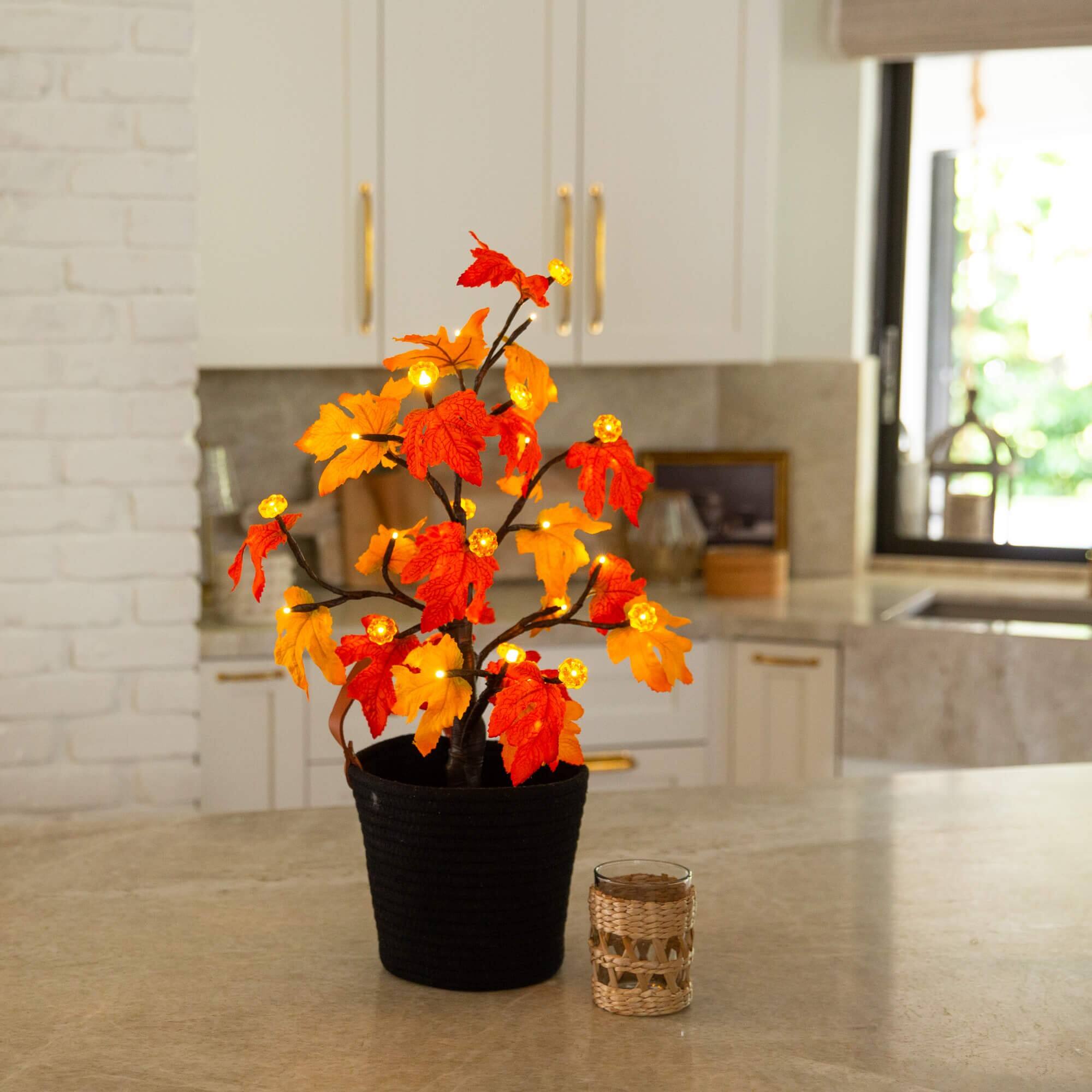 2ft. Pre-Lit Autumn Maple Artificial Fall Tree with 24 Warm White LED & Pumpkin Shaped Lights with Detachable Base